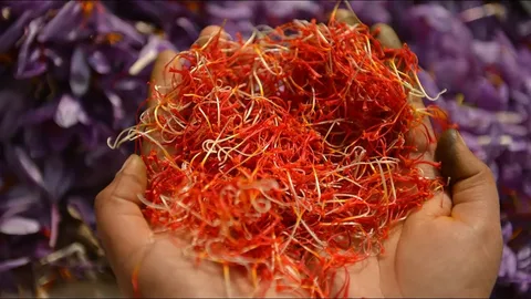 تصویر 3 از زعفران قائنات اصل با رنگ سرخ و کیفیت تضمینی